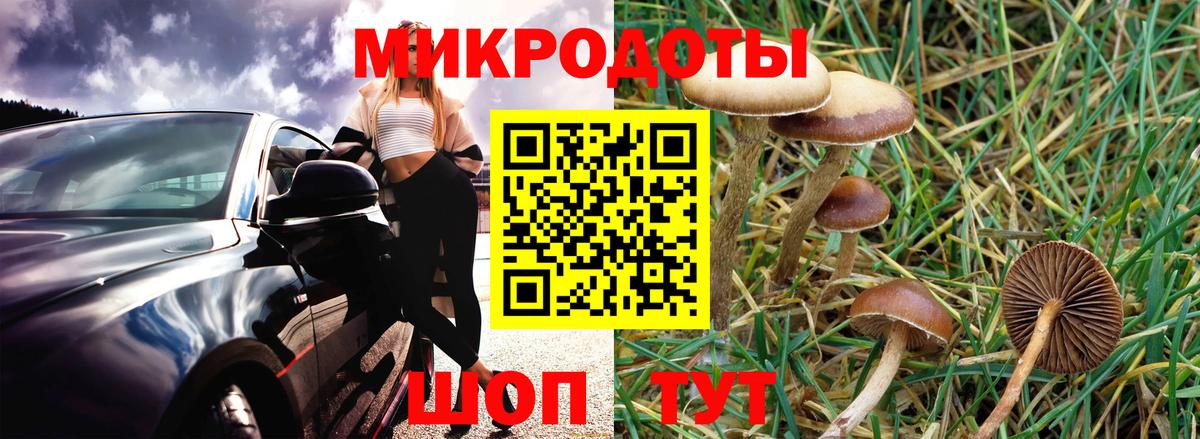 Галлюциногенные грибы мухоморы Чебаркуль