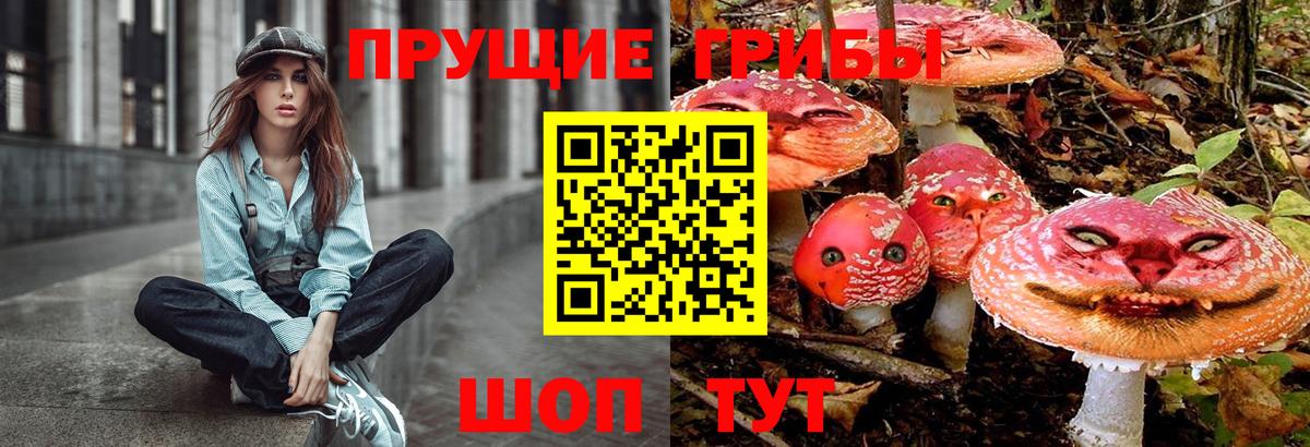 Чебаркуль  Псилоцибиновые грибы MAGIC MUSHROOMS  Вход с VPN 